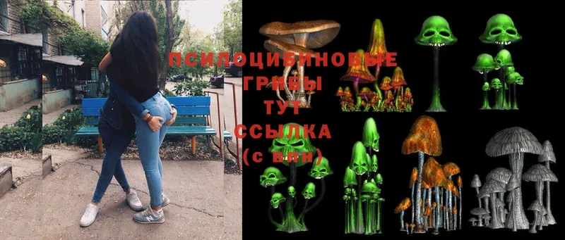 Галлюциногенные грибы Psilocybine cubensis  Бор 